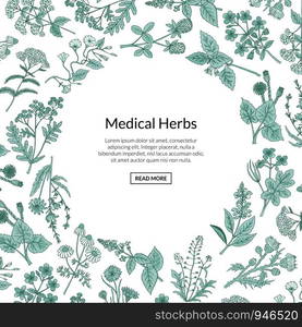 Vector hand drawn medical herbs background with place for text illustration. Herb plant aromatic, botany aroma, healthy and freshness flora. Vector hand drawn medical herbs background with place for text illustration