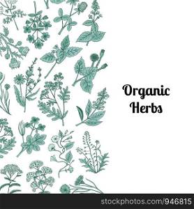 Vector hand drawn medical herbs background with place for text illustration. Vector hand drawn medical herbs