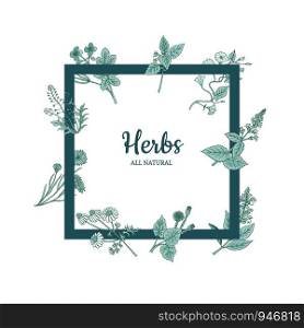 Vector hand drawn medical herbs flying around frame with place for text illustration. Vector hand drawn medical herbs frame illustration