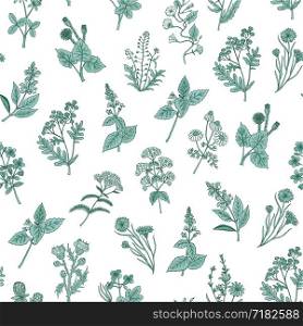 Vector hand drawn medical herbs pattern or background illustration. Green plant herb, medicinal ingredient, grass botany. Vector hand drawn medical herbs pattern or background illustration