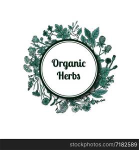Vector hand drawn medical herbs under circle with place for text illustration. Herbal organic label and badge, freshness botany. Vector hand drawn medical herbs under circle with place for text illustration