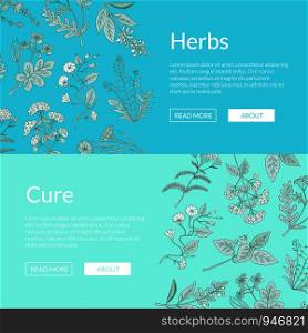 Vector hand drawn medical herbs web banner and poster page templates illustration. Vector hand drawn medical herbs web banner templates illustration
