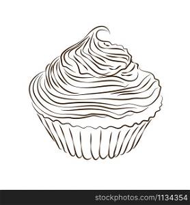 Vector hand drawn muffin sketch isolated on the white background