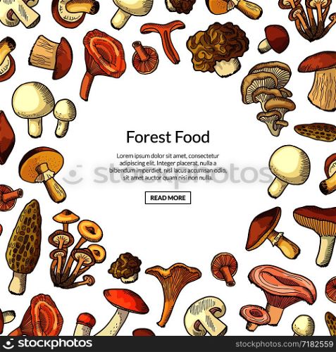 Vector hand drawn mushrooms background with place for text illustration. Mushroom food drawing, vegetable delicious. Vector hand drawn mushrooms background with place for text illustration
