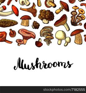 Vector hand drawn mushrooms banner poster background with place for text illustration. Menu pattern. Vector hand drawn mushrooms background illustration. Menu pattern