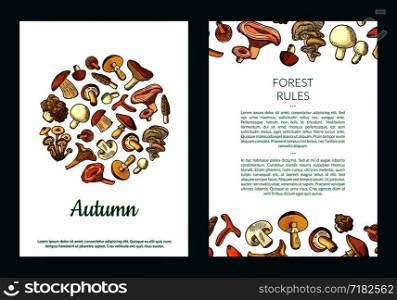 Vector hand drawn mushrooms card, flyer or brochure , banner and poster template illustration. Vector hand drawn mushrooms card, flyer or brochure template illustration