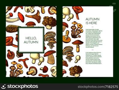 Vector hand drawn mushrooms card, flyer or brochure banner poster template illustration. Vector hand drawn mushrooms card, flyer or brochure template illustration