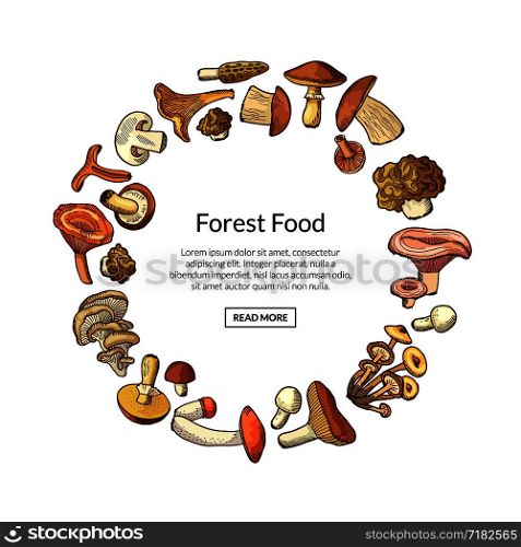 Vector hand drawn mushrooms in circle form with place for text in center illustration. Vector hand drawn mushrooms