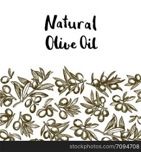 Vector hand drawn olive branches background with place for text illustration. Vector hand drawn olive branches background