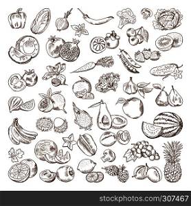 Vector hand drawn pictures of fruits and vegetables. Doodle vegan food illustrations. Vegetable and fruit drawing doodle collection. Vector hand drawn pictures of fruits and vegetables. Doodle vegan food illustrations