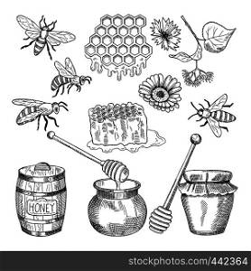 Vector hand drawn pictures of honey products. Illustration of honey healthy natural food. Vector hand drawn pictures of honey products