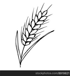 Vector hand drawn wheat doodle illustration Cute harvest clipart Farm market product