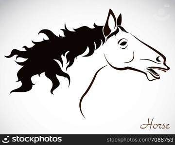 Vector head of horse on a white background