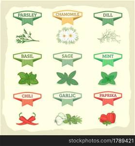 vector herbs set, chamomile, garlic, dill, sage, basil