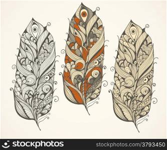 Vector highly detailed doodle feathers