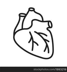 vector human heart icon isolated on white background. thin line flat symbol of a heart