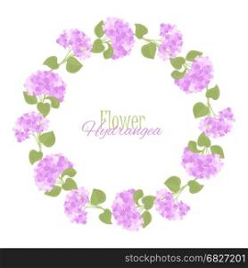 Vector hydrangea flower. Vector illustration of flower hydrangea. Decoration of frame with flowers and leaves