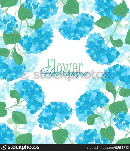 Vector hydrangea flower. Vector illustration of hydrangea flower Background with blue flowers