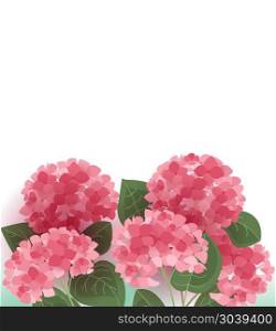 Vector hydrangea flower. Vector illustration of hydrangea flower. Background with floral decorations