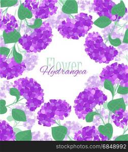 Vector hydrangea flower. Vector illustration of hydrangea flower Background with purple flowers