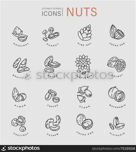 Vector icon and logo for nuts and seeds. Editable outline stroke size. Line flat contour, thin and linear design. Simple icons. Concept illustration. Sign, symbol, element.. Vector icon and logo for nuts and seeds. Editable outline stroke