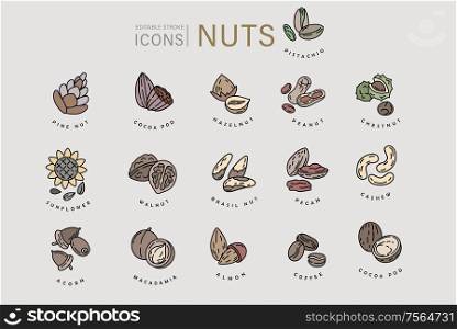 Vector icon and logo for nuts and seeds. Editable outline stroke size. Line flat contour, thin and linear design. Simple icons. Concept illustration. Sign, symbol, element.. Vector icon and logo for nuts and seeds. Editable outline stroke size. Line flat contour, thin and linear design. Simple icons. Concept illustration