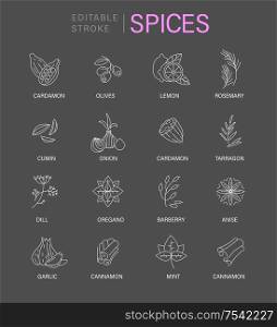 Vector icon and logo for spices and herbs. Editable outline stroke size. Line flat contour, thin and linear design. Simple icons. Concept illustration. Sign, symbol, element.. Vector icon and logo for spices and herbs