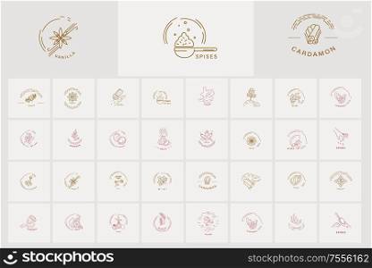 Vector icon and logo for spices and herbs. Editable outline stroke size. Line flat contour, thin and linear design. Simple icons. Concept illustration. Sign, symbol, element.. Vector icon and logo for spices and herbs. Editable outline stroke size. Line flat contour, thin and linear design. Simple icons. Concept illustration
