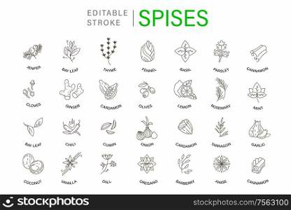Vector icon and logo for spices and herbs. Editable outline stroke size. Line flat contour, thin and linear design. Simple icons. Concept illustration. Sign, symbol, element.. Vector icon and logo for spices and herbs. Editable outline stroke size. Line flat contour, thin and linear design. Simple icons. Concept illustration