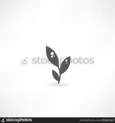 vector icon leaf