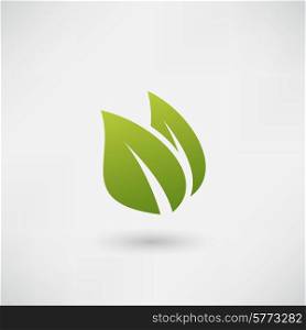 vector icon leaf