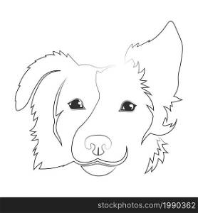 vector icon of a dog&rsquo;s head drawn by contours