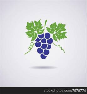 vector icon of grapes
