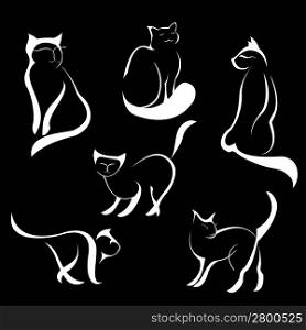 Vector illustraition of Cat Design Set made with simple line only