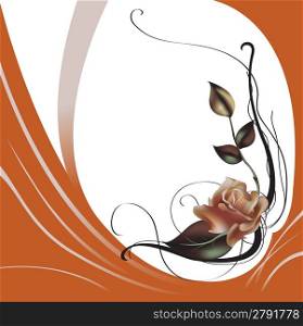 Vector illustraition of elegant beautiful rose