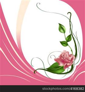 Vector illustraition of elegant beautiful rose