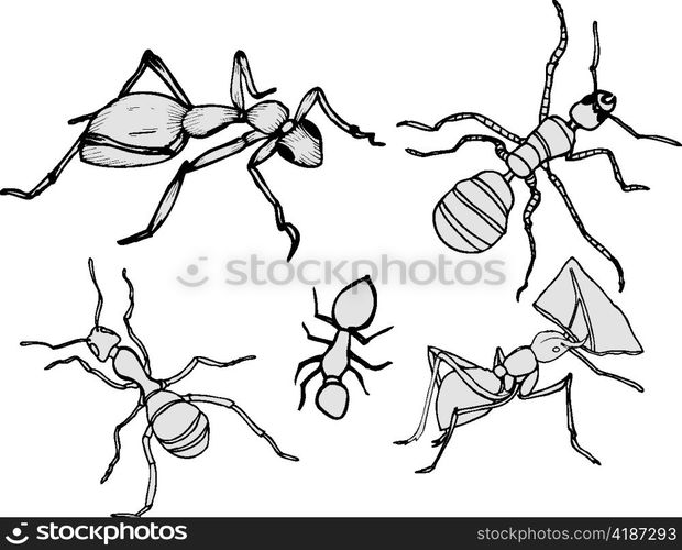 Vector illustration