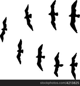 Vector illustration