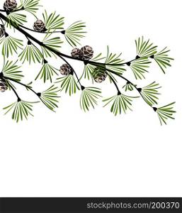 Vector illustration background with pine. Decoration of tree branches.. Decoration of pine branches