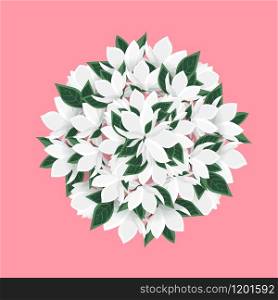 Vector illustration branches with floral decoration. Spring magnolia. Background with white flowers. Vector magnolia flowers