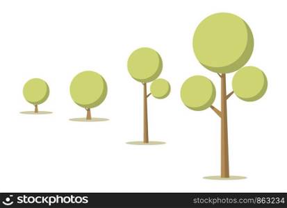 Vector Illustration Cartoon Tree Growth Concept. Illustration Stepwise Growth Tree. Image Tree different Sizes and Shapes. From Small to Large. Isolated on White Background. Wildlife Concept