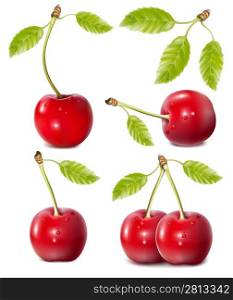 Vector illustration. Cherries with water drops.