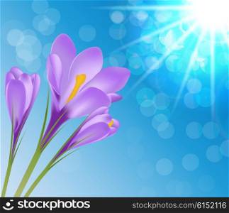 Vector Illustration Crocus Flower on Background EPS10. Vector Illustration Crocus Flower Background