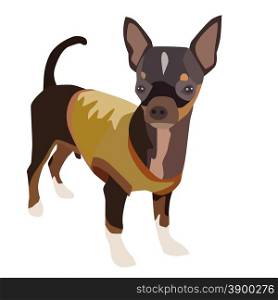 Vector illustration cute dog chihuahua