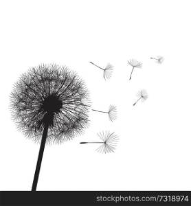 Vector illustration dandelion time. Two dandelions blowing in the wind. The wind inflates a dandelion
