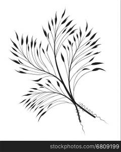 Vector illustration decorative grass on a white background, abstract meadow element.