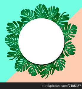 vector illustration. exotic tropical green leaves monstera. round paper banner. mint and pink background