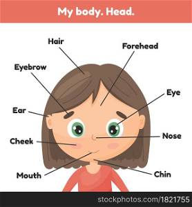 Vector illustration. Face little cute girl. Poster head parts for leaning anatomy for kids.. Face little cute girl. Poster head parts for leaning anatomy for kids.