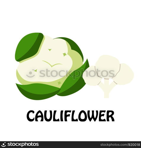 Vector Illustration Flat Cauliflower isolated on white background , Raw materials fresh vegetable