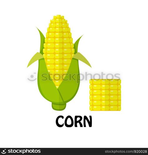 Vector Illustration Flat Corn isolated on white background , Raw materials fresh vegetable